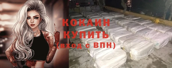 винт Абаза