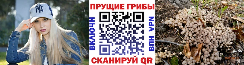 mega ТОР  Слюдянка  Псилоцибиновые грибы прущие грибы 